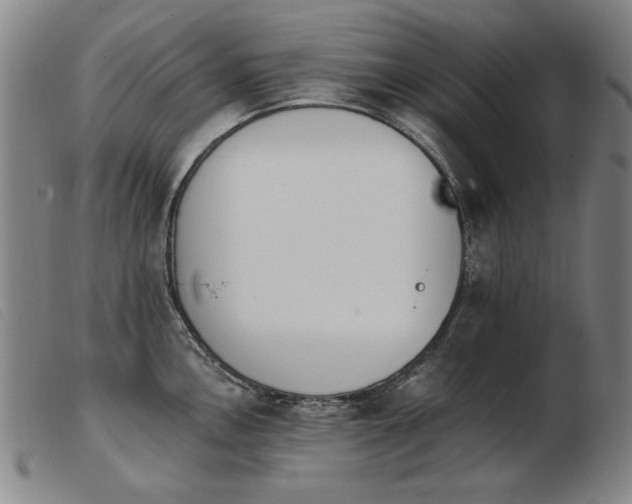 X0000103911146200809191256