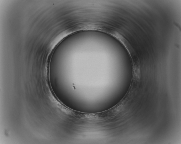 X0000103911147200809191256