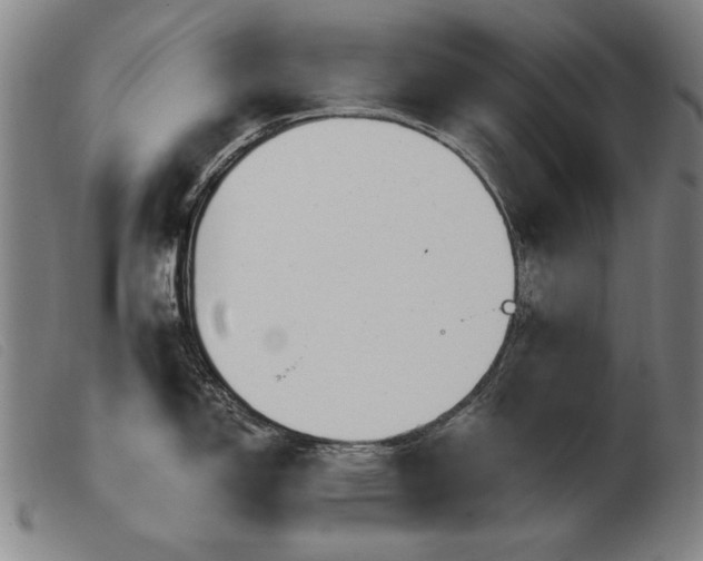 X0000103911150200809191256