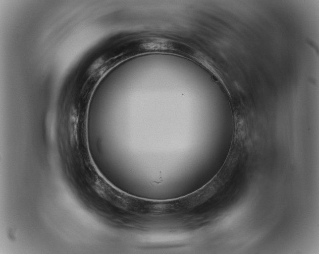 X0000103911151200809191256