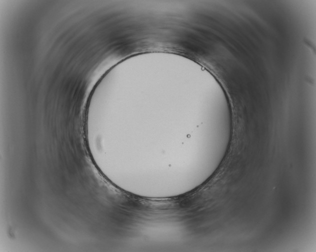 X0000103911152200809191256