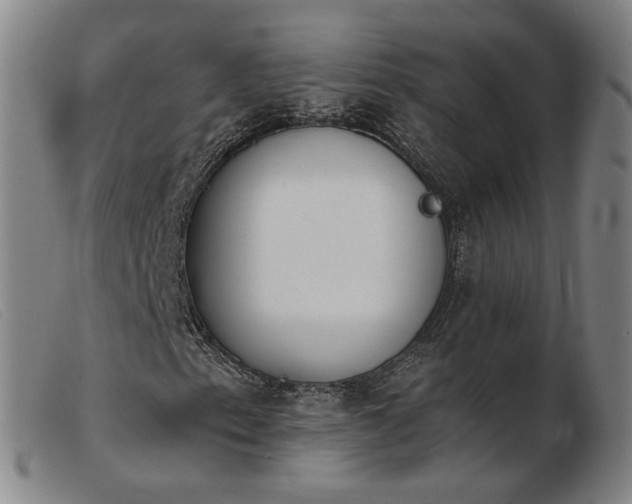 X0000103911153200809191256