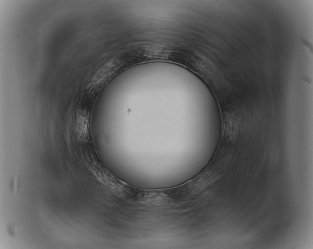 X0000103911154200809191256