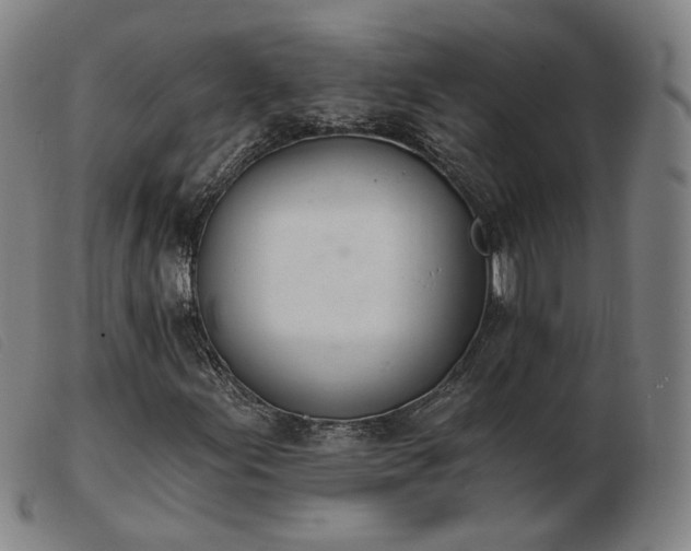 X0000103911155200809191256
