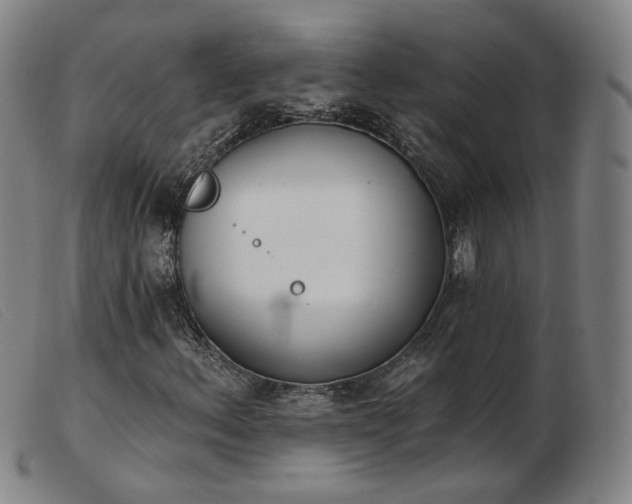 X0000103911156200809191256