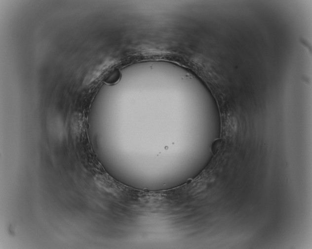 X0000103911157200809191256