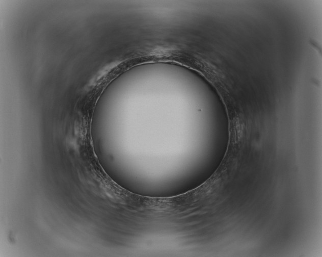 X0000103911158200809191256
