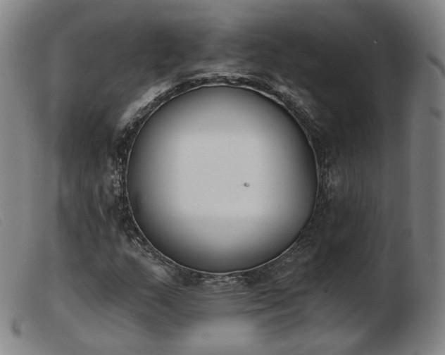 X0000103911159200809191256