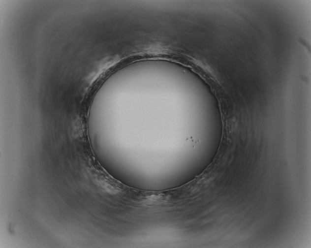 X0000103911160200809191256