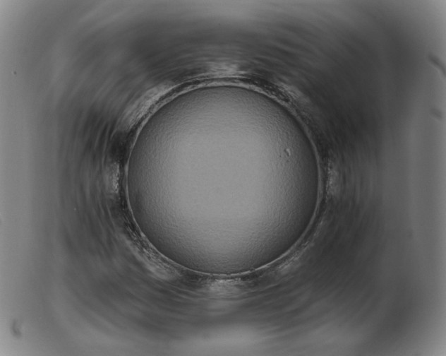 X0000103911161200809191256