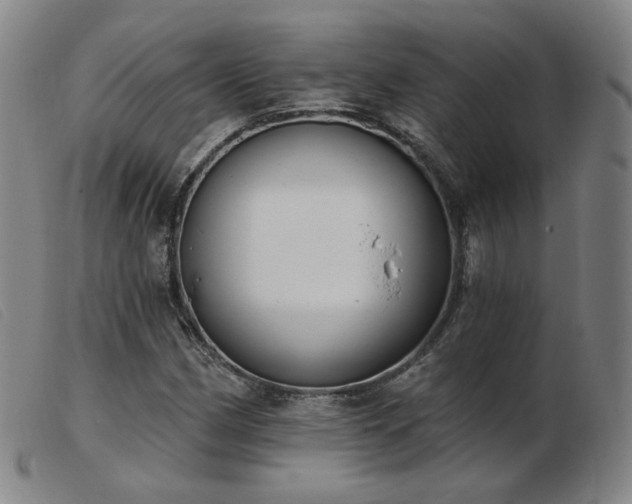 X0000103911162200809191256