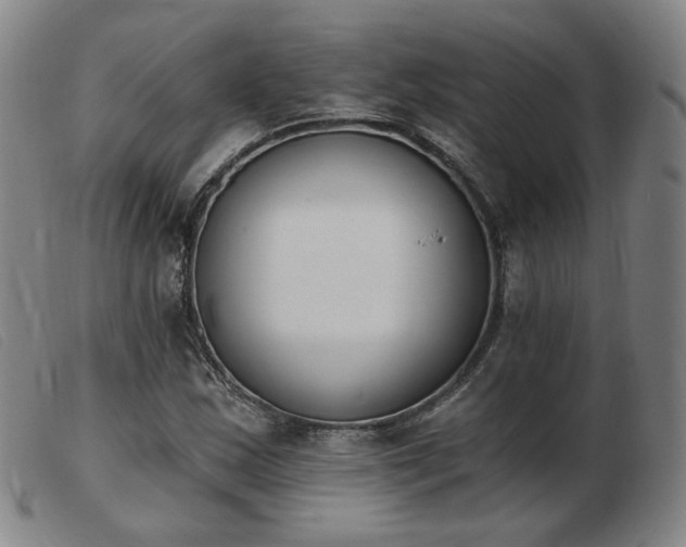 X0000103911163200809191256