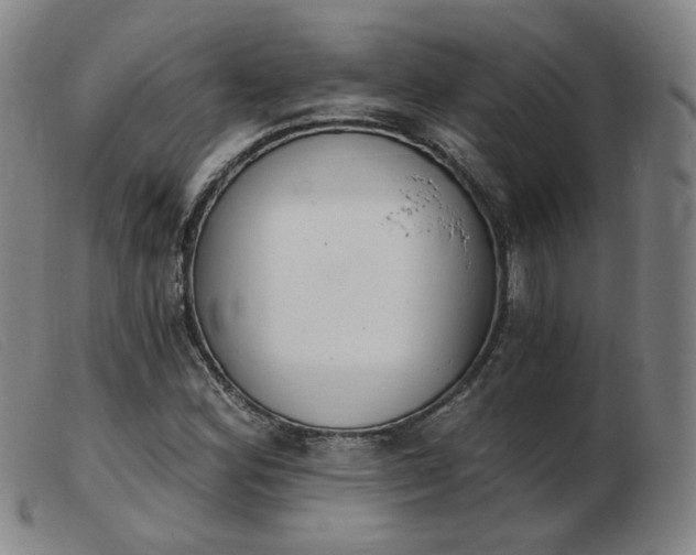 X0000103911164200809191255
