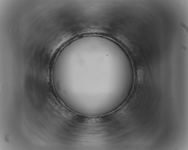X0000103911165200809191255