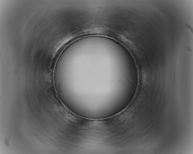 X0000103911166200809191255