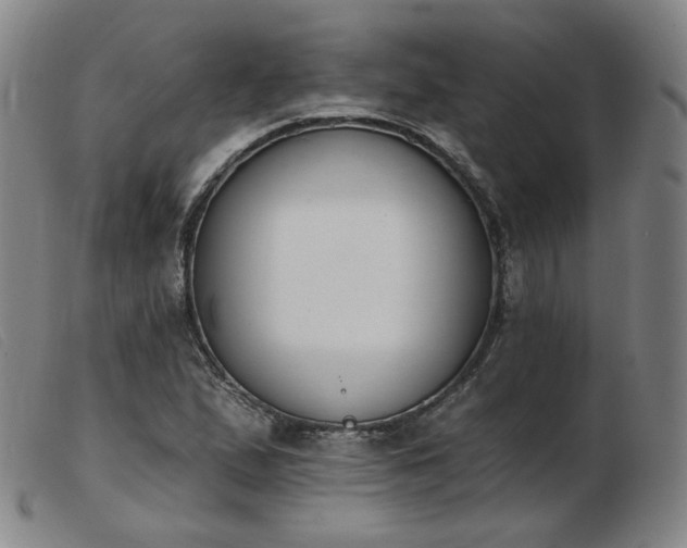 X0000103911167200809191255