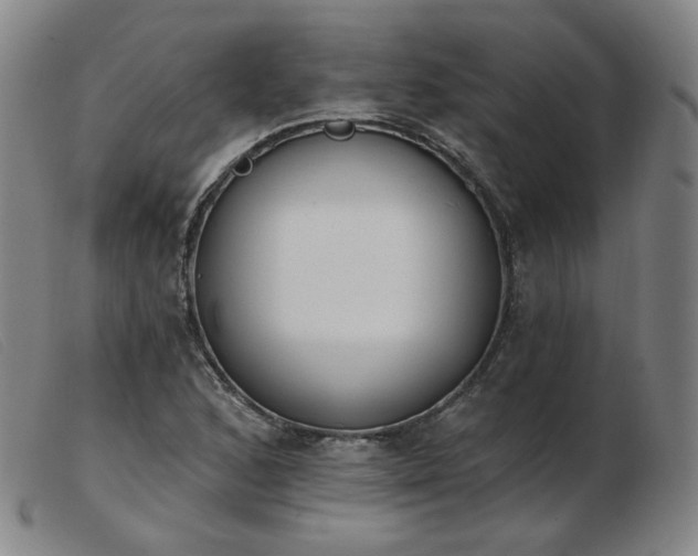 X0000103911168200809191255