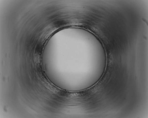 X0000103911169200809191255