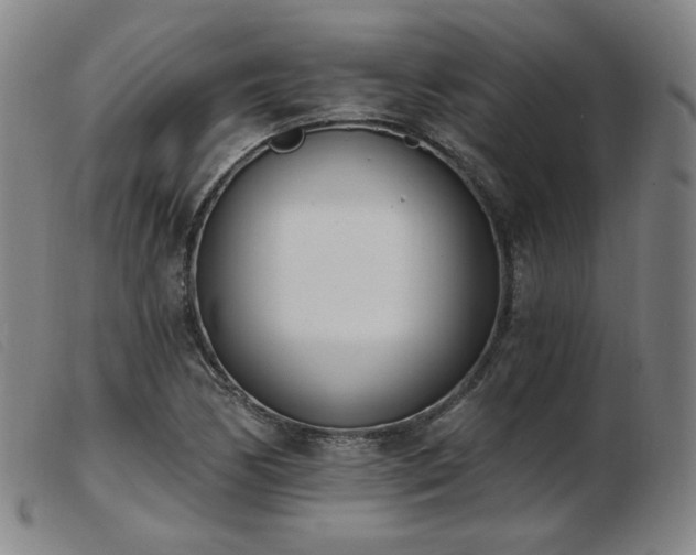 X0000103911170200809191255