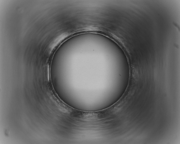 X0000103911171200809191255