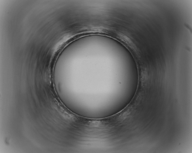 X0000103911172200809191255
