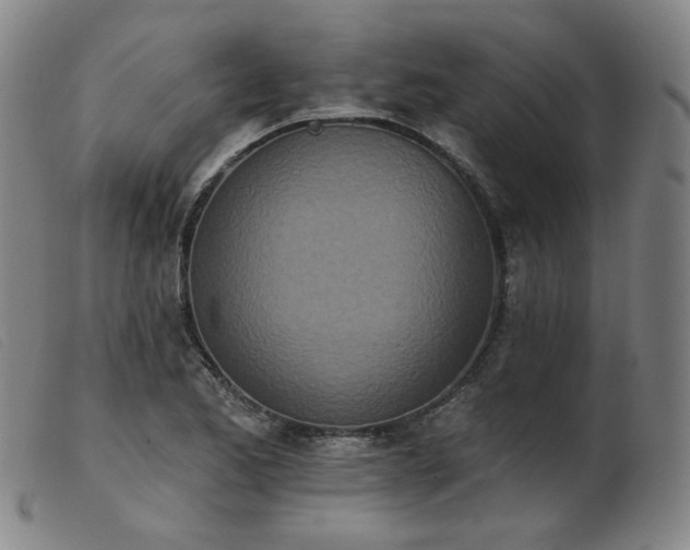 X0000103911173200809191255