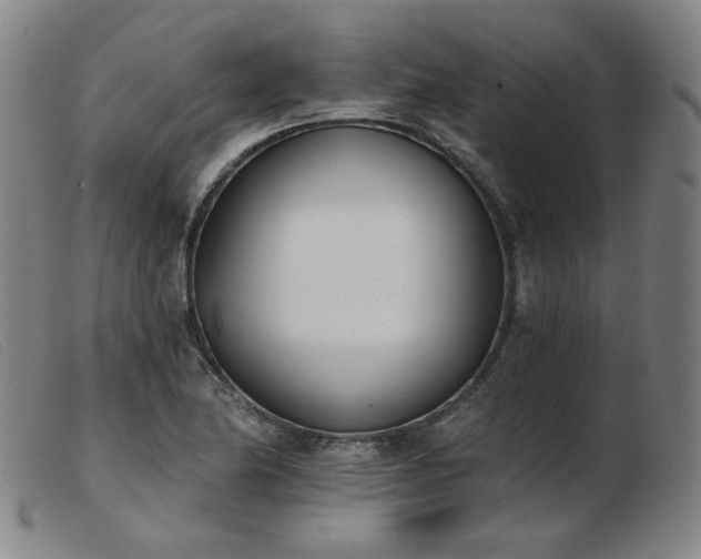 X0000103911174200809191255