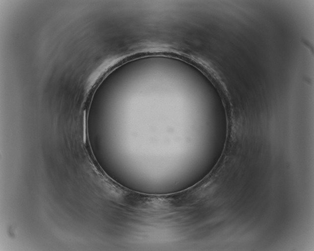 X0000103911175200809191255