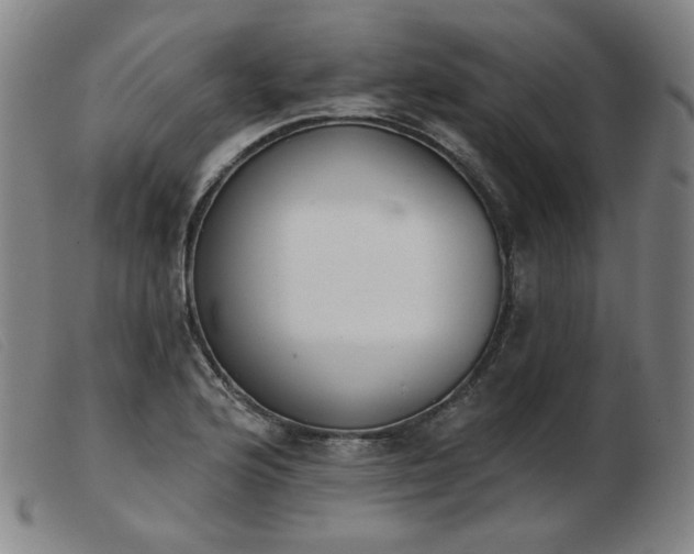 X0000103911176200809191255