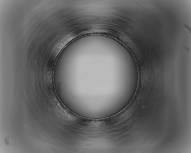 X0000103911177200809191255