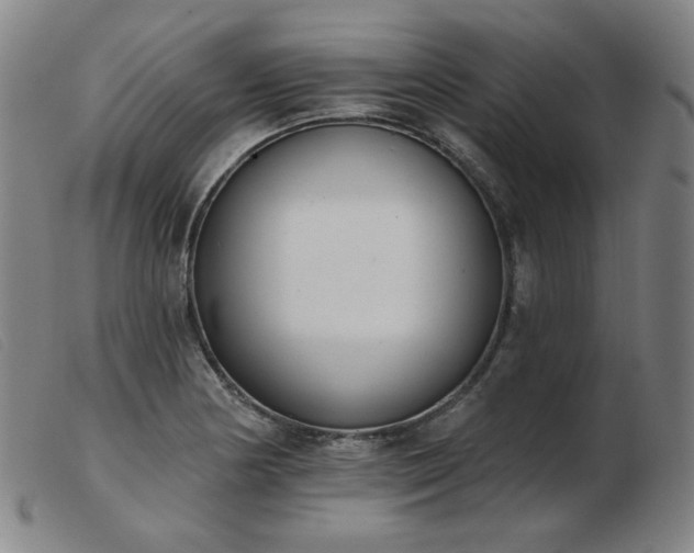X0000103911178200809191255