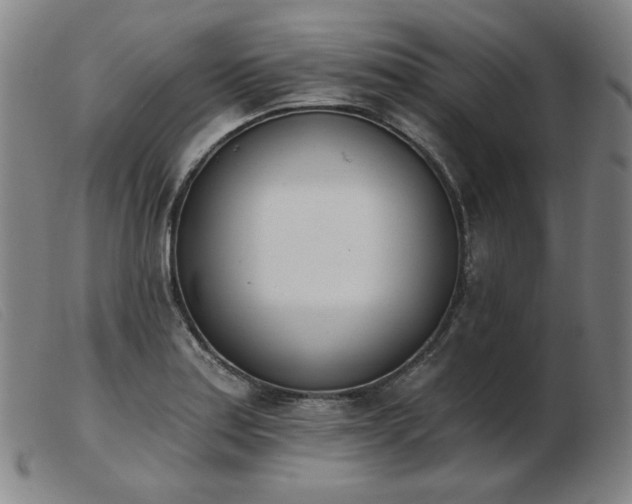 X0000103911179200809191255