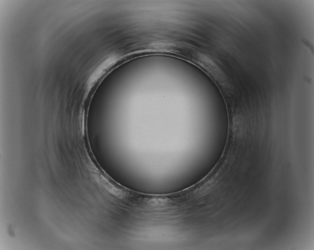 X0000103911180200809191255