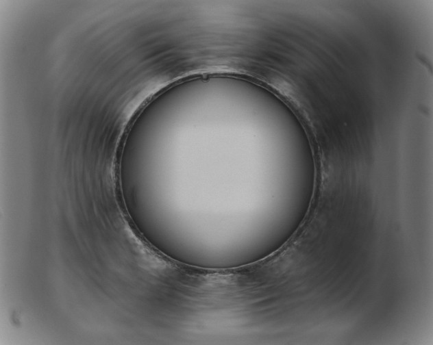 X0000103911181200809191255