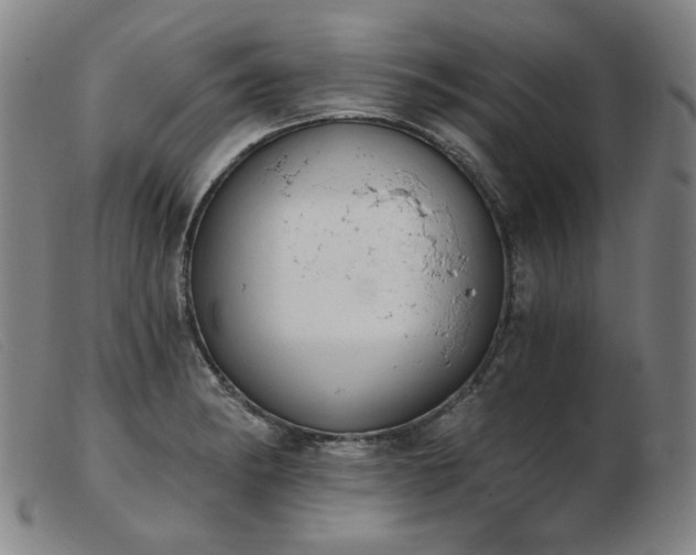 X0000103911182200809191255