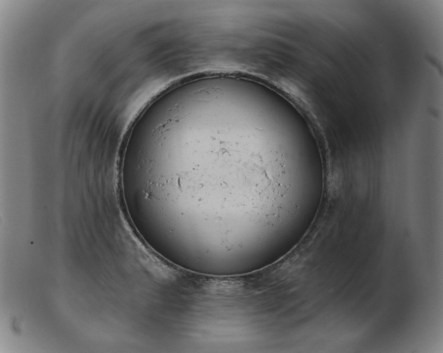 X0000103911183200809191255