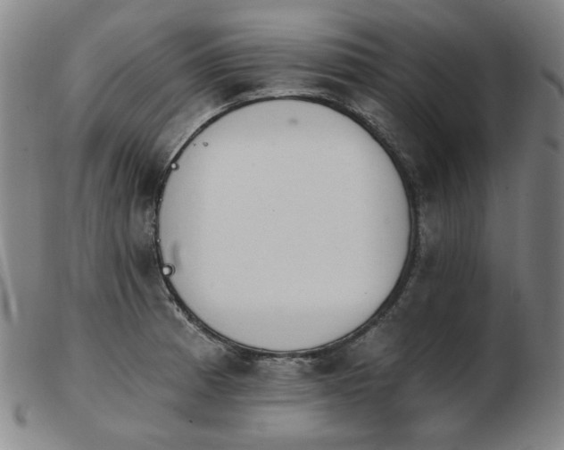 X0000103911185200809191255