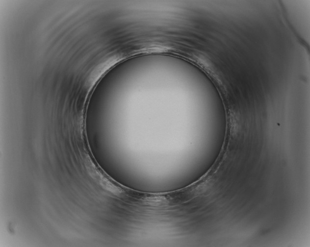 X0000103911186200809191255