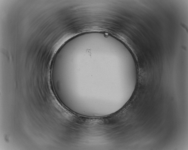 X0000103911187200809191255