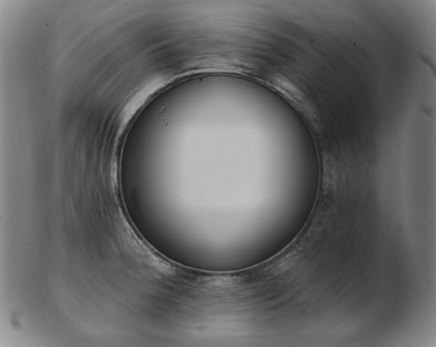 X0000103911188200809191255
