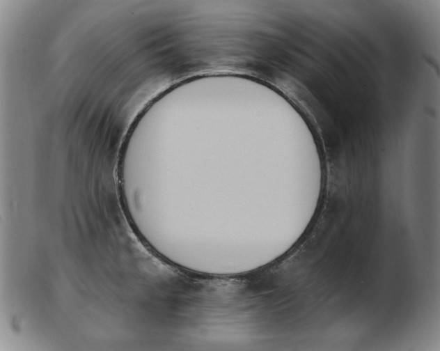 X0000103911189200809191255
