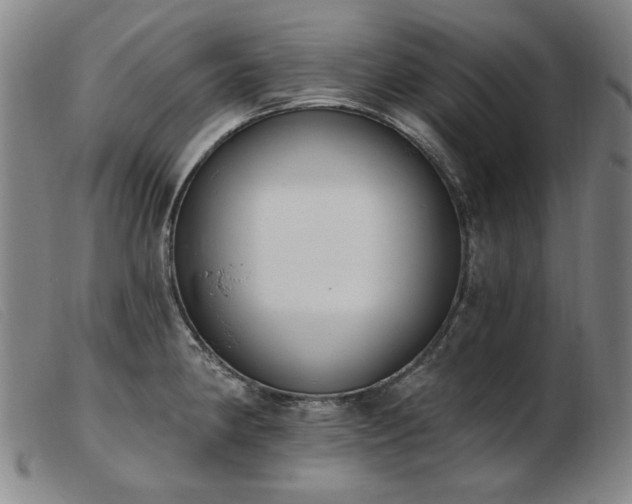X0000103911190200809191255
