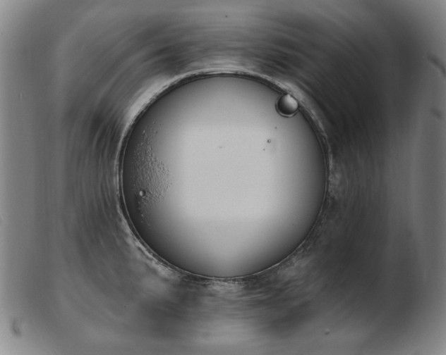 X0000103911191200809191255