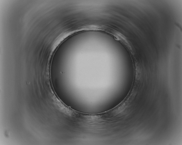X0000103911192200809191255