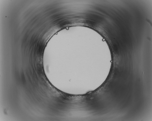 X0000103911193200809191255