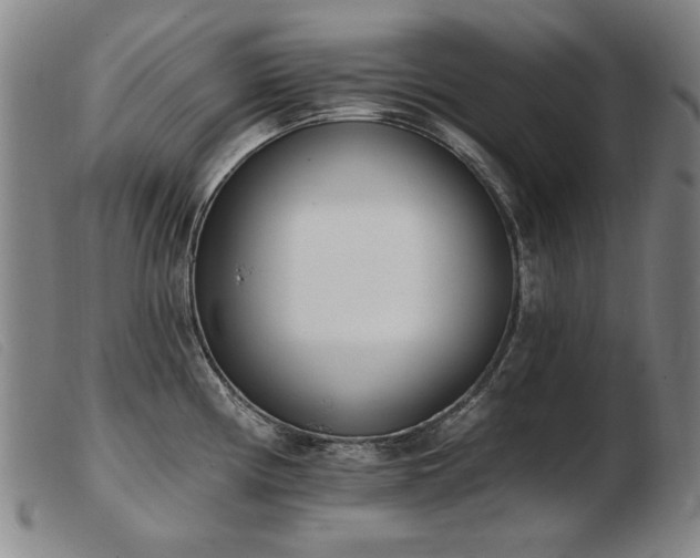X0000103911194200809191255