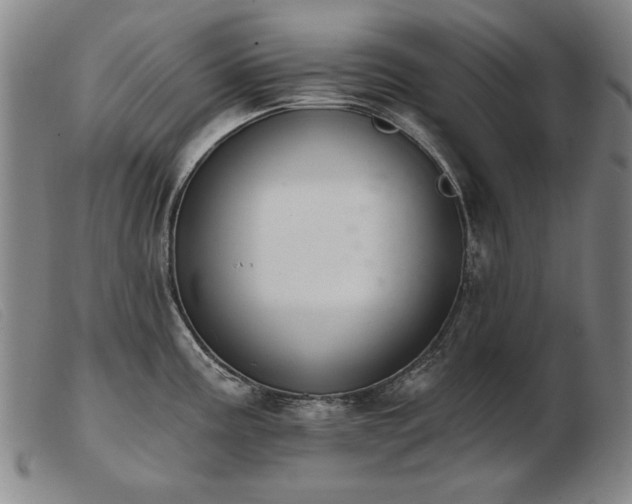X0000103911195200809191255