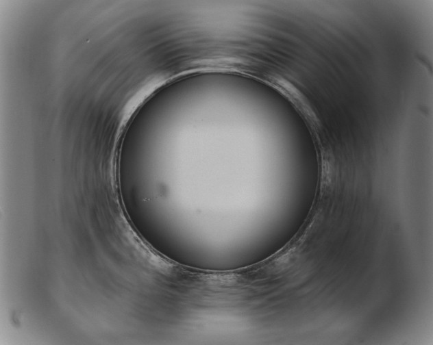 X0000103911196200809191255