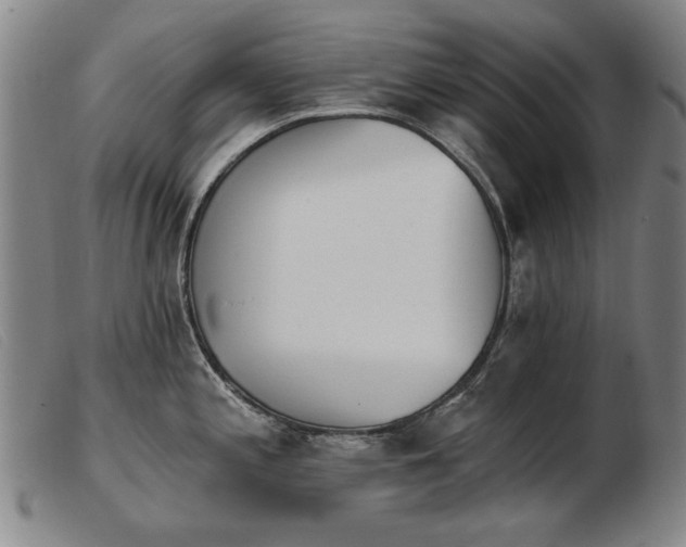 X0000103911197200809191255