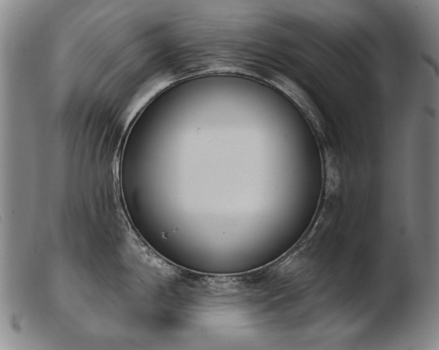 X0000103911198200809191255